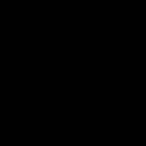 Meet your Posher, Dante